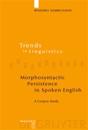 Morphosyntactic Persistence in Spoken English