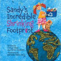 Sandy's Incredible Shrinking Footprint