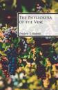 The Phylloxera of the Vine