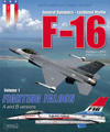 F-16 Volume 1: Fighting Falcon a + B
