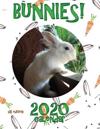 Bunnies! 2020 Calendar (UK Edition)
