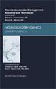 Neuroendovascular Management: Anatomy and Techniques, An Issue of Neurosurgery Clinics