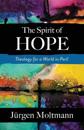 The Spirit of Hope
