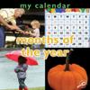 My Calendar: Months of The Year