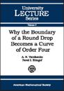 Why the Boundary of a Round Drop Becomes a Curve of Order Four