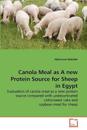 Canola Meal as A new Protein Source for Sheep in Egypt