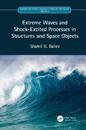 Extreme Waves and Shock-Excited Processes in Structures and Space Objects