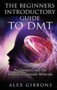 The Beginners Introductory Guide To DMT - Psychedelics And The Dimethyltryptamine Molecule