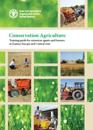 Conservation agriculture
