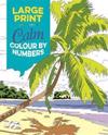 Large Print Calm Colour by Numbers