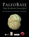PaleoBase: Deep Sea Benthic Foraminifera