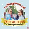 Tvillingarna på Sweet Valley High 2: Den förfärliga hemligheten