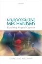 Neurocognitive Mechanisms