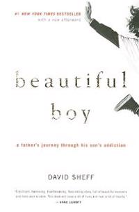 Beautiful Boy A Fathers Journey Through His Sons Addiction Epub-Ebook