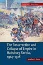 The Resurrection and Collapse of Empire in Habsburg Serbia, 1914–1918: Volume 1