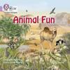 Animal Fun Big Book