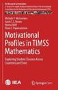 Motivational Profiles in TIMSS Mathematics