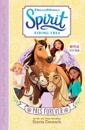 Spirit Riding Free – PALs Forever Diary