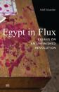 Egypt in Flux