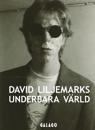 David Liljemarks underbara värld : verk i urval 1978-2020