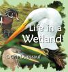 Life In A Wetland