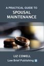 A Practical Guide to Spousal Maintenance