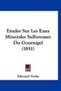 Etudes Sur Les Eaux Minerales Sulfureuses Du Gournigel (1851)