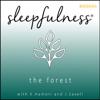 The forest - guided relaxation