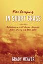 Fire Creeping In Short Grass