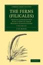 The Ferns (Filicales) 3 Volume Paperback Set: Volume SET