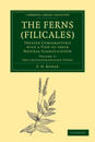 The Ferns (Filicales): Volume 3, The Leptosporangiate Ferns