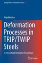 Deformation Processes in TRIP/TWIP Steels