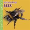 Fast Facts About Bees