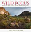 Wild Focus