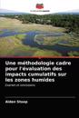 Une méthodologie cadre pour l'évaluation des impacts cumulatifs sur les zones humides