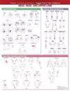 Travell, Simons & Simons’ Trigger Point Pain Patterns Wall Chart