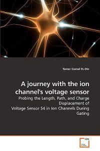 A Journey with the Ion Channel's Voltage Sensor