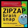 ZipZap Brain Snap