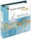 Human Anatomy on File