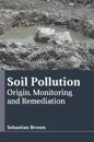 Soil Pollution: Origin, Monitoring and Remediation