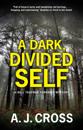 Dark, Divided Self, A