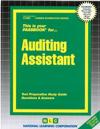 Auditing Assistant