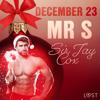 December 23: Mr S – An Erotic Christmas Calendar