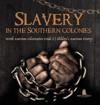 Slavery in the Southern Colonies North American Colonization Grade 3 Children's American History