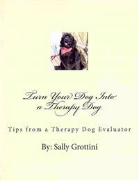 Turn Your Dog Into a Therapy Dog: Tips from a Therapy Dog Evaluator