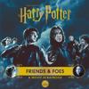 Harry Potter â?? FriendsFoes: A Movie Scrapbook