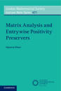 Matrix Analysis and Entrywise Positivity Preservers