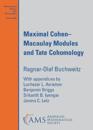 Maximal Cohen-Macaulay Modules and Tate Cohomology