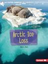 Arctic Ice Loss