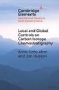 Local and Global Controls on Carbon Isotope Chemostratigraphy
